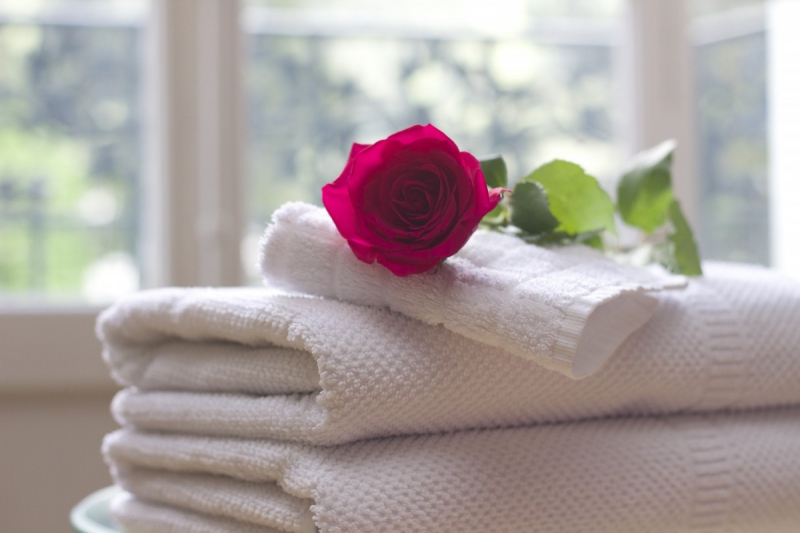 hotel-ST MANDRIER SUR MER-min_towel_rose_clean_care_salon_spa_white_bath-731641